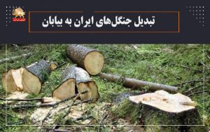 گزارش دوم « تبدیل جنگلهای ایران به بیابان »