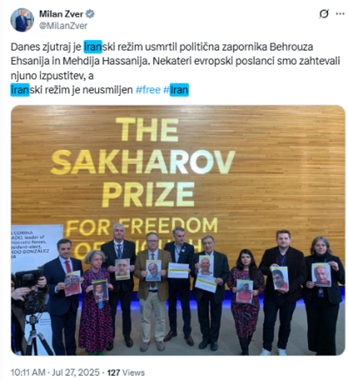 میلان زور-۱