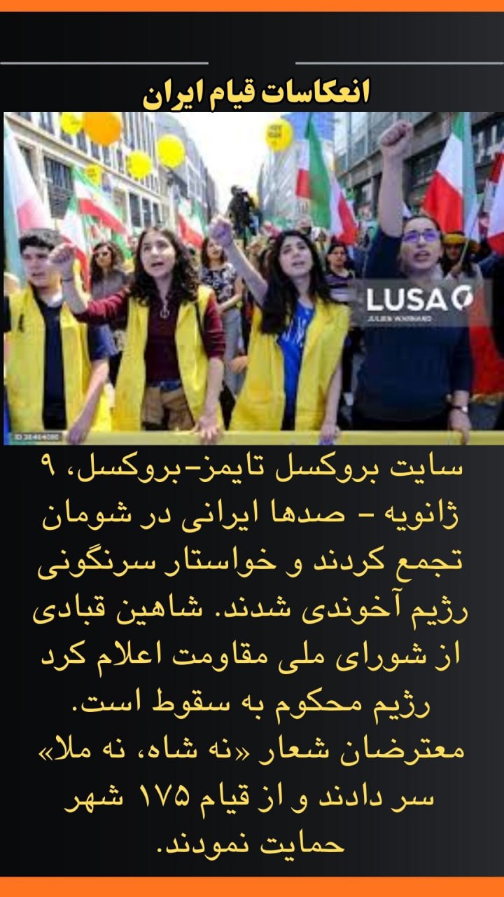 سایت بروکسل تایمز