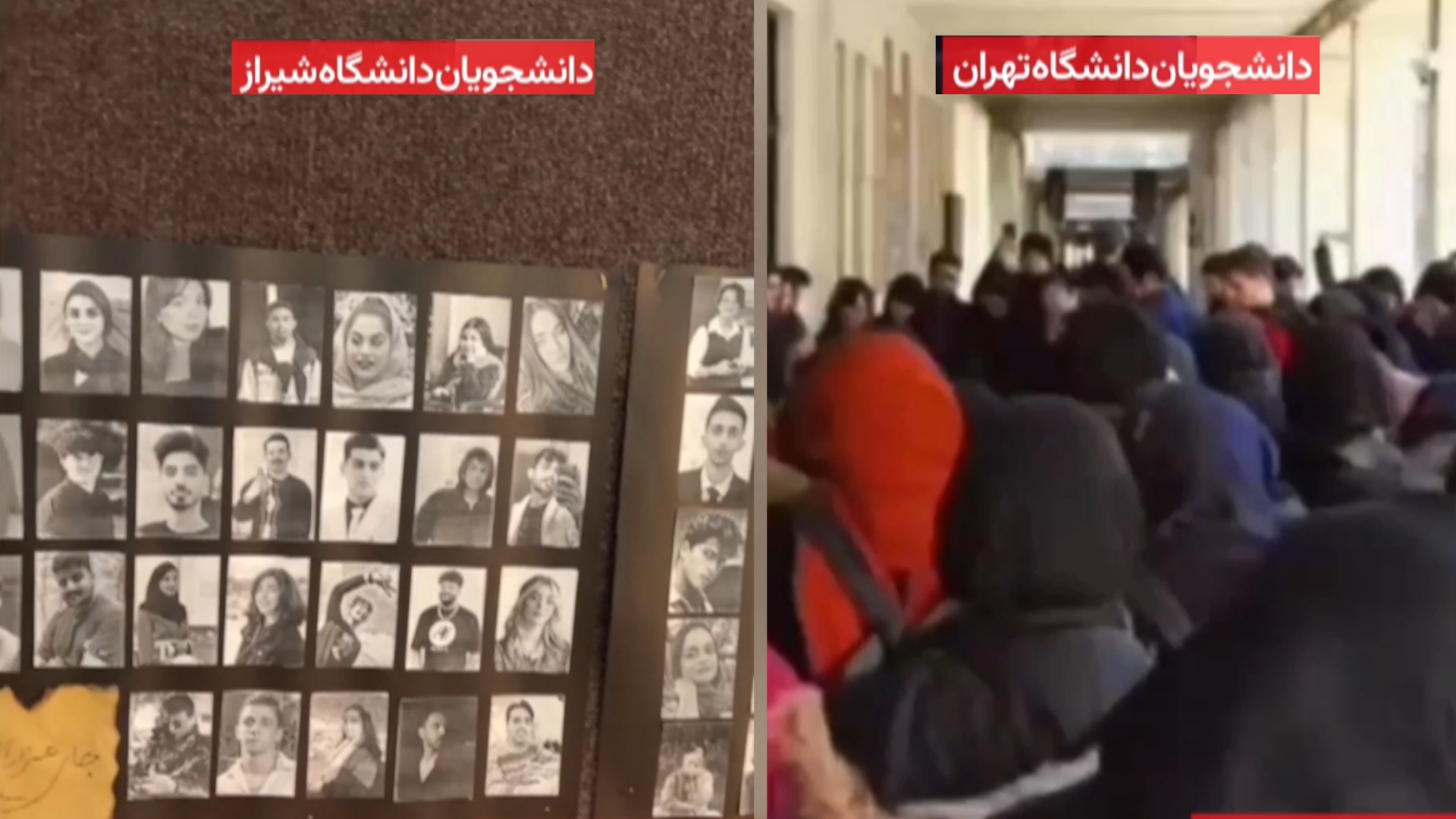 دانشجویان دانشگاه تهران و شیراز