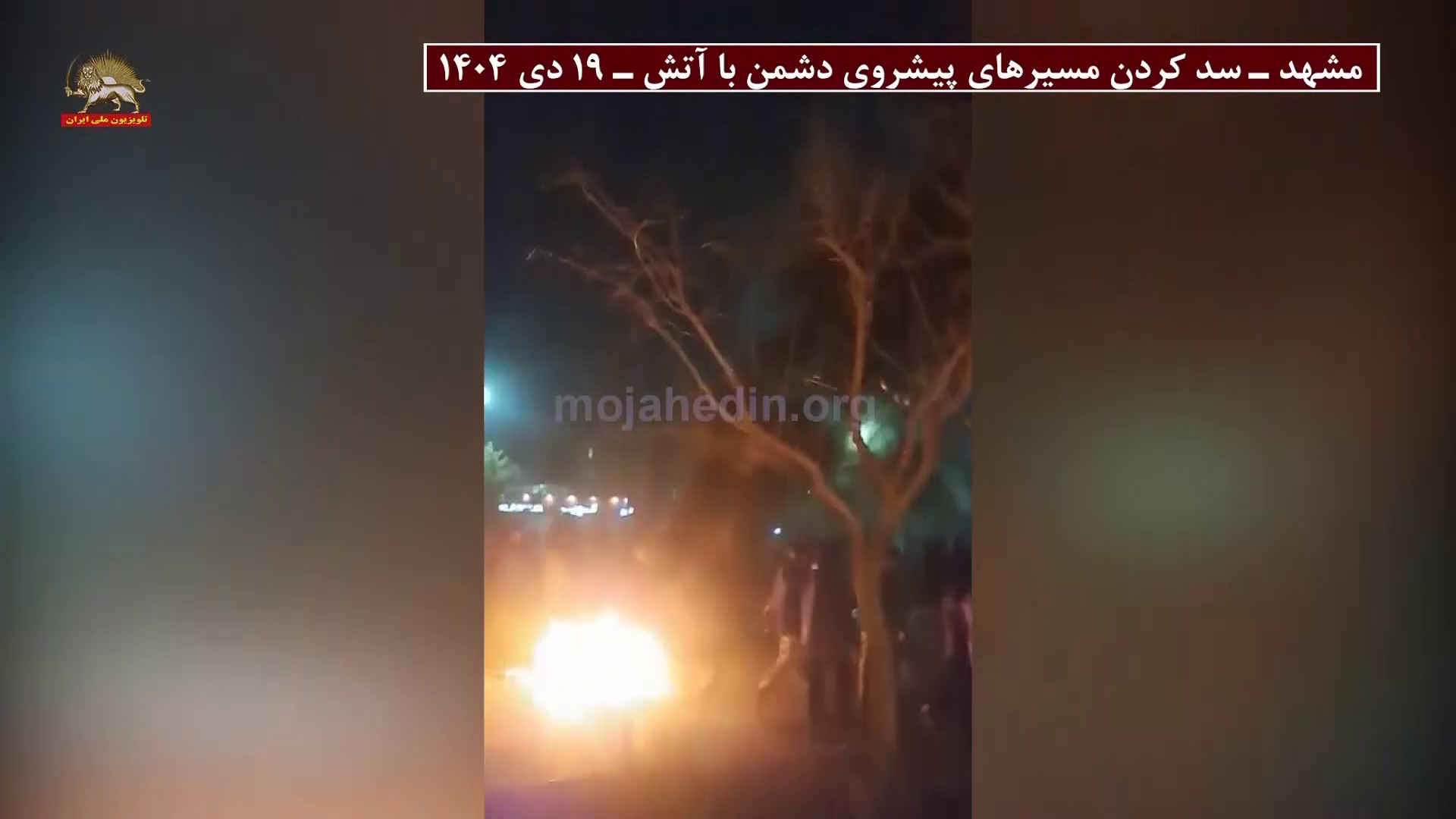 vlcsnap-2026-02-19-19h53m38s494