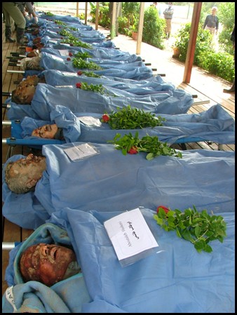 صف شهدای اشرف و لیبرتی&nbsp;۵