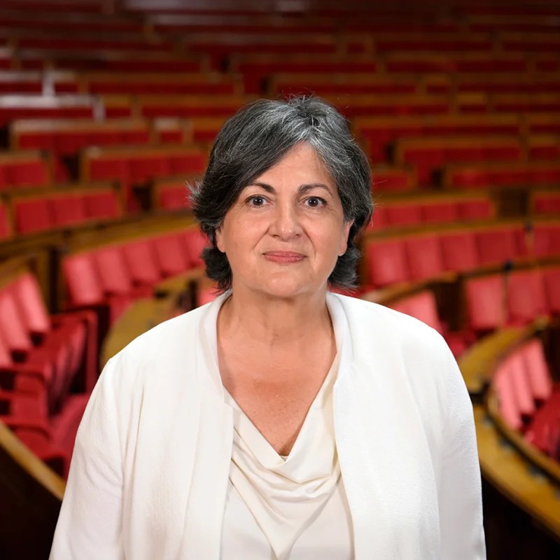 image-profil-christine-arrighi